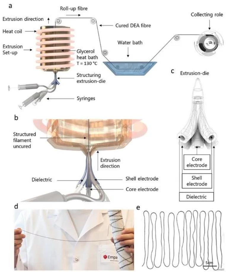 Empa研究人员制作出可模仿真实肌肉的3D打印软材执行器 image