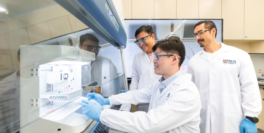 新加坡国立大学开发出AI增强生物3D打印牙龈移植技术，实现口腔软组织移植个性化 image