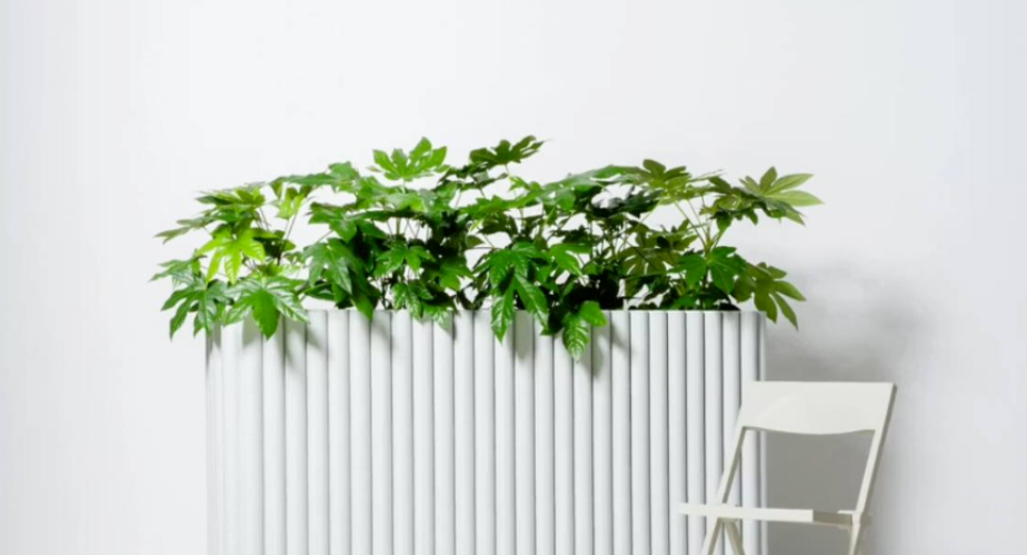 Aectual推出Boxy模块化花盆系统 image Aectual推出Boxy模块化花盆系统 image