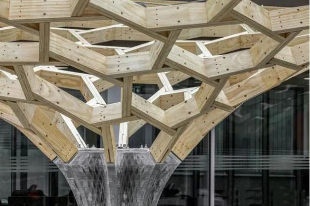 瑞士苏黎世联邦理工大学探索3D打印和木结构联合建造的可能 图片